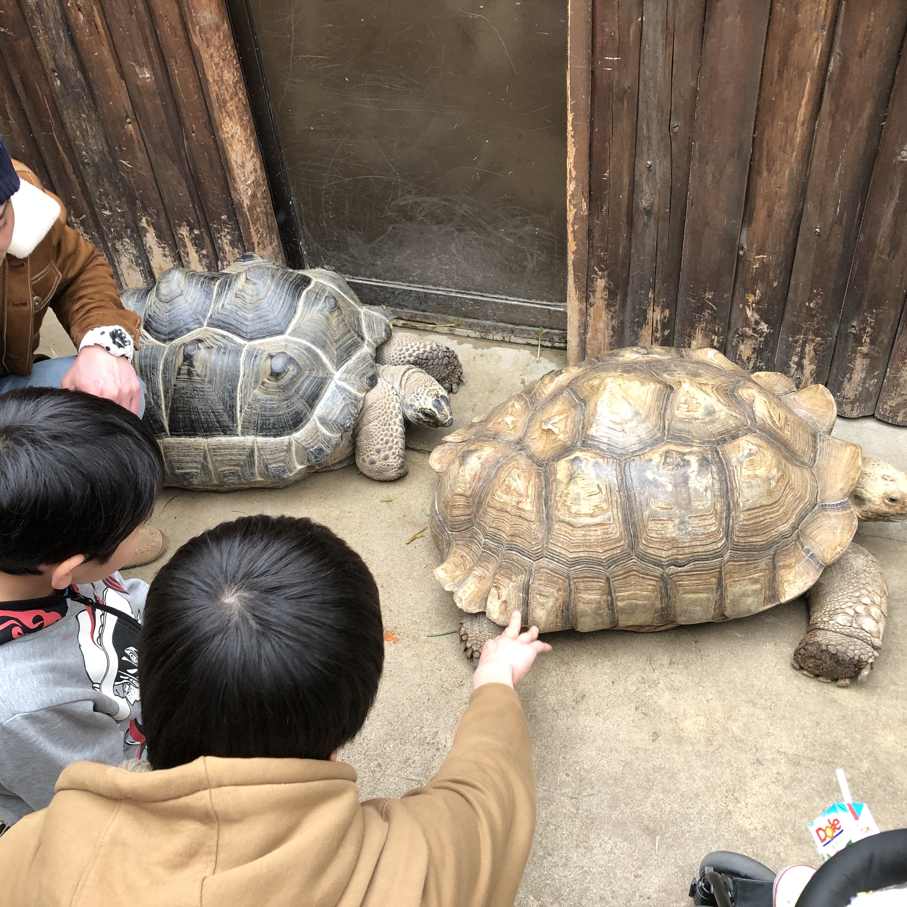 六甲山へ家族旅行