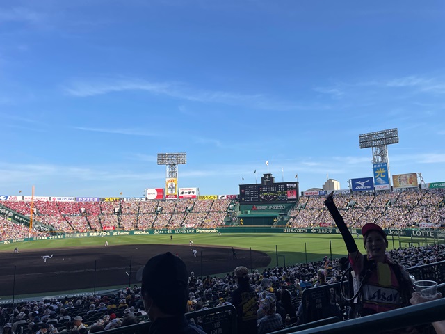 久々の甲子園観戦！タイガースが強い・最高にビールがうまかった！！